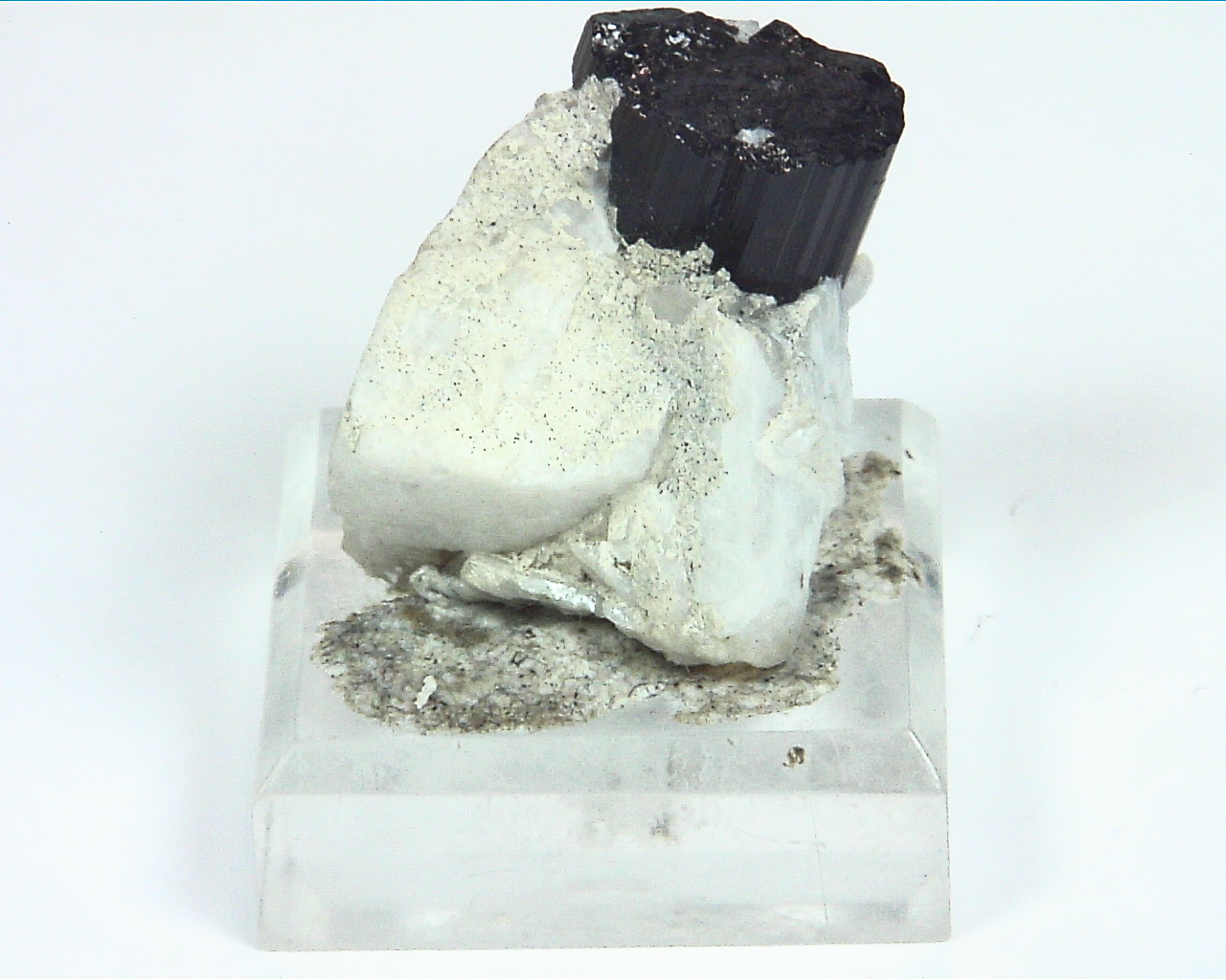 Quarts Crystal with Black Tourmaline Crystals,MS,786 2