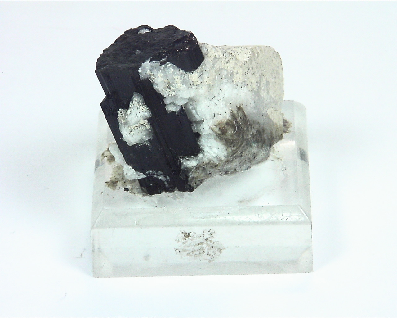 Quarts Crystal with Black Tourmaline Crystals,MS,786 4