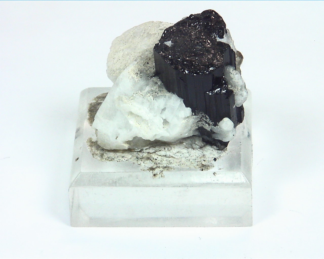 Quarts Crystal with Black Tourmaline Crystals,MS,786 8