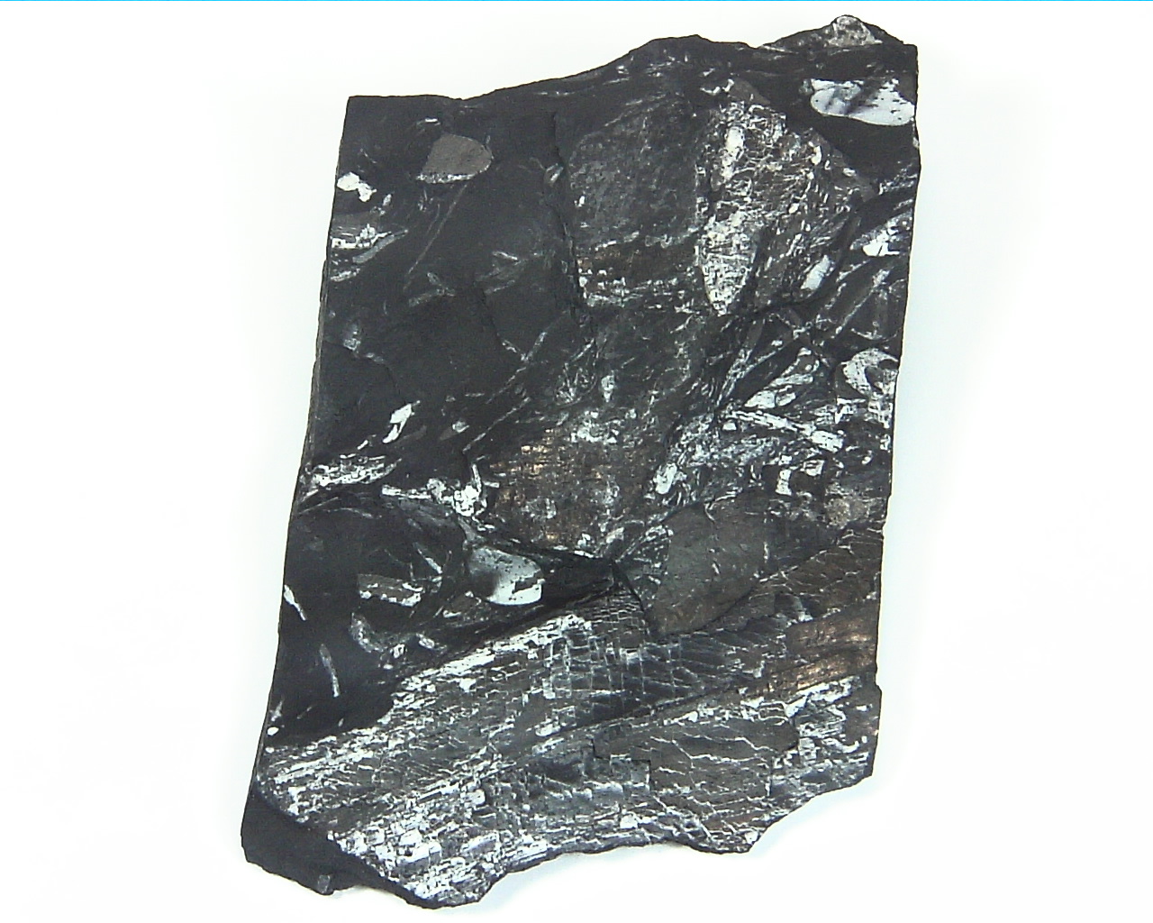 Coal Specimen From Pennsylvania MS,791 1
