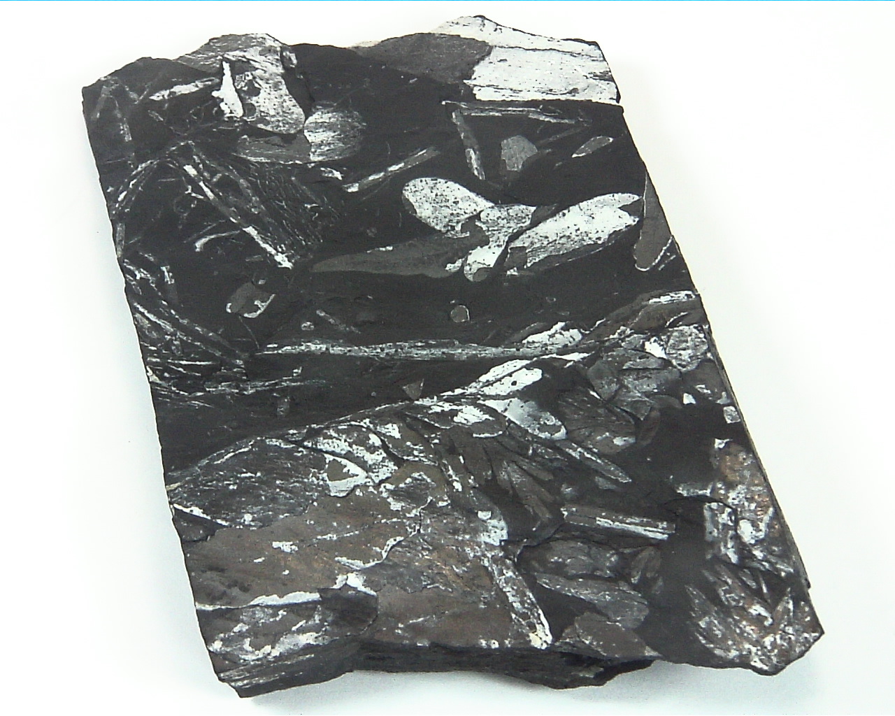 Coal Specimen From Pennsylvania MS,791 10
