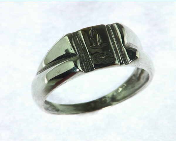 Silver Ring RSS559E